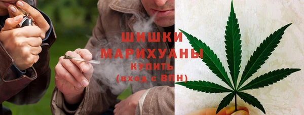 PSILOCYBIN Аркадак