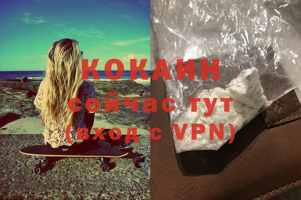 PSILOCYBIN Аркадак