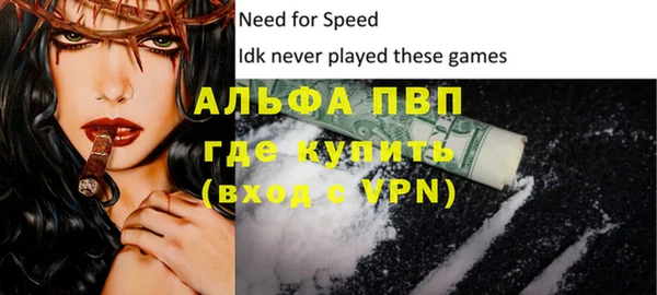 PSILOCYBIN Аркадак