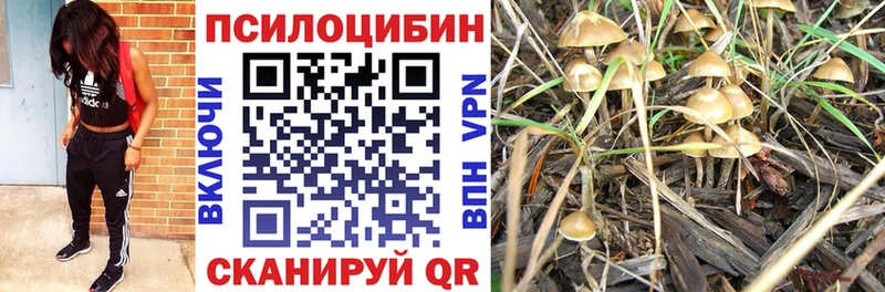 Галлюциногенные грибы MAGIC MUSHROOMS  Терек 